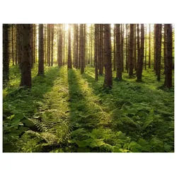 Bilderdepot24 Teppich Vinyl Wohnzimmer Schlafzimmer Flur Küche Wald modern, rechteckig - grün glatt, nass wischbar (Küche, Tierhaare) - Saugroboter & Bodenheizung geeignet grün 80 cm x 60 cm