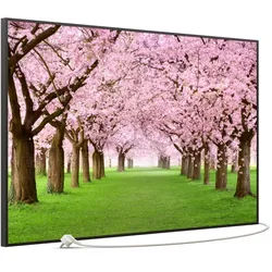 STEINFELD Heizsysteme Infrarotheizung Bild 900W, 120x74cm, Made in Germany, 7J Garantie, mit Thermostat, viele Motive schwarz