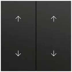Gira Wippe Serien Schalter schwarz lackiert 329774 Pfeile