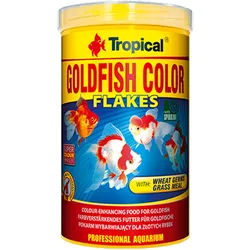 TROPICAL Goldfish Color 100ml