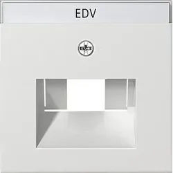 Gira 028427 Abdeckung mit Beschriftungsfeld UAE/IAE und Netzwerk, System 55, reinweiß seidenmatt