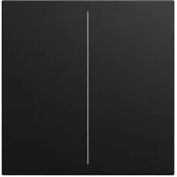 Busch-Jaeger LFW/A.2.55.11-915 Abdeckung 2-fach für Keypad 1- bis 4-fach, Busch-Trevion, Busch-balance SI, KNX, schwarz matt