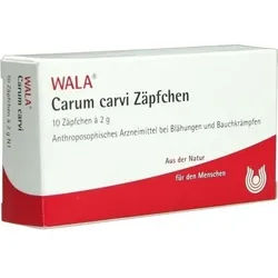 CARUM CARVI Zäpfchen 20 g