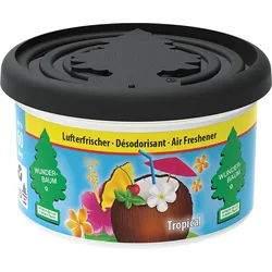 Wunder-Baum Raumduft Wunderbaum Lufterfrischer Duftdose Tropical