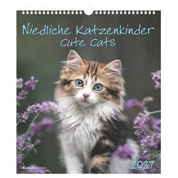 Wandkalender Niedliche Katzenkinder 2027 Wandkalender 30x34 cm mit 12 Katzenbaby-Mo weiß