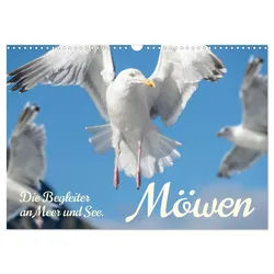 CALVENDO Wandkalender Möwen die Begleiter an Meer und See (Wandkalender 2026 DIN A3 quer), C 42.0 cm x 1 cm x 29.7 cm