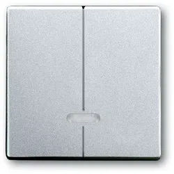 Busch-Jaeger 6545-83 Bedienelement 2-fach für Dimmer/Doppeltaster mit Glimmlampe, aluminium silber matt, Plattform 63