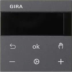 Gira RTR Display anthrazit 539328