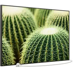 STEINFELD Heizsysteme Infrarotheizung Bild 900W, 120x74cm, Made in Germany, 7J Garantie, mit Thermostat, viele Motive schwarz