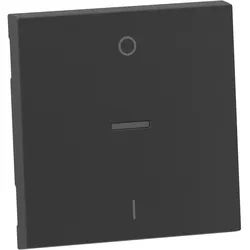Legrand 765410 SEANO Wippe Ausschalter 2-polig Beleuchtungsfenster Anthrazit