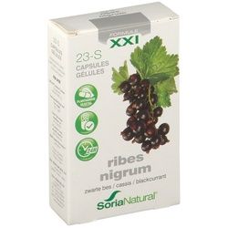 Soria Natural® 23-S Ribes Nigrum Xxxi