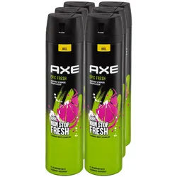 Axe Bodyspray Epic Fresh 250 ml, 6er Pack