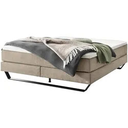 Boxspringbett HASENA JULIETA