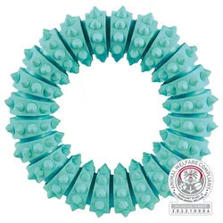 TRIXIE Denta Fun Ring, Minzgeschmack, Naturgummi, Ø 12 cm