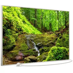 STEINFELD Heizsysteme Infrarotheizung Bild 900W, 120x74cm, Made in Germany, 7J Garantie, mit Thermostat, viele Motive silberfarben
