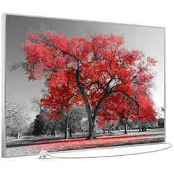 STEINFELD Heizsysteme Infrarotheizung Bild 900W, 120x74cm, Made in Germany, 7J Garantie, mit Thermostat, viele Motive silberfarben