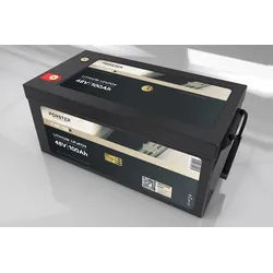FORSTER 51,2V Lithium 100Ah LiFePO4 Premium Batterie | 200A-BMS-2.0 | ...- 0% MwST. (Angebot gemäß §12 USt Gesetz.)