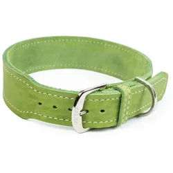CopcoPet Hunde-Halsband Hundehalsband - Zoe, Robust, nachhaltig, Naturprodukt. Handgefertigt grün 35 - 40 cm 30 mm verchromt
