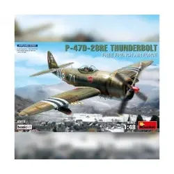 1:48 P47D-28RE französische Luftwaffe Basic Kit