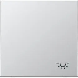 Jung AL2990L Wippe, Symbol Licht, Serie LS, Aluminium