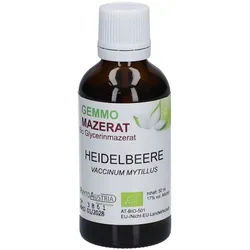 PhytoAustria Gemmo Mazerat Heidelbeere Bio Glycerinmazerat