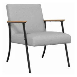 vidaXL Sessel Sessel Wolkengrau Stoff (1-St) grau