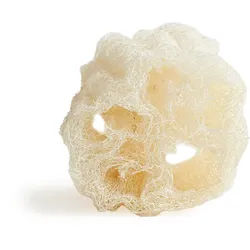 Cucurbita (Luffa) - Schwamm