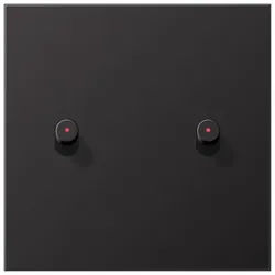 JungAbdeckung mit 2 Kipphebeln, mit Lichtleiter Kegel (Dark)