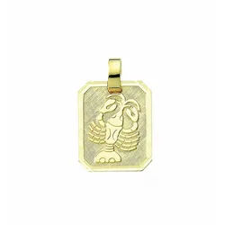 Adelia ́s Kettenanhänger Damen & Herren 333 Gold Sternzeichen Anhänger Krebs, Goldschmuck für Damen & Herren goldfarben
