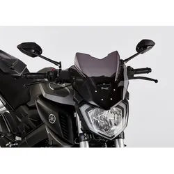 ERMAX Naked-Bike-Scheibe Acrylic (PMMA)