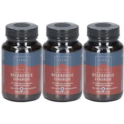 Terranova Belebende Synergie