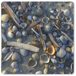 MuchoWow Mauspad (1-St), Mouse pad groß, Schreibtisch Zubehör, 50x50 cm bunt 50x50 | 50 cm x 50 cm