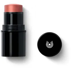 Blush Stick Lip to Cheek - 01 apricot 6,1g