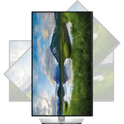 DELL P2425 - 61cm Monitor, 16:10, USB, Pivot