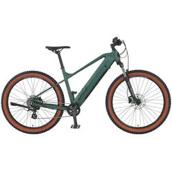 Prophete E-Bike Mountainbike Dice 1.0, 8 Gang Shimano Altus Schaltwerk, Kettenschaltung, Heckmotor, 360 Wh grün