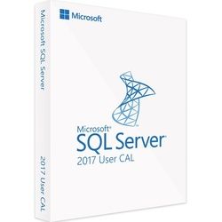 Microsoft SQL Server 2017 | 50 User CALs | Blitzversand