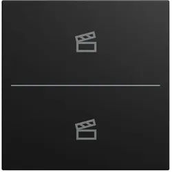 Busch-Jaeger LFST/A.2.55.11-915 Abdeckung Taster 2-fach, mit Symbol "Szene" , Busch-Trevion, Busch-balance SI, KNX, schwarz matt