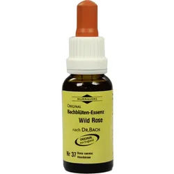 Bachblüten Murnauer Wild Rose Tropfen 20 ML