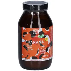 Naturkraftwerke Bio Guarana Pulver