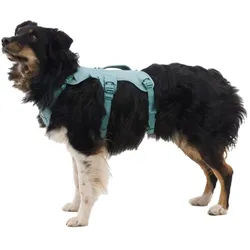 Ruffwear Hunde-Geschirr Web Master Harness grün XS