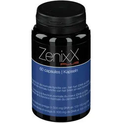 ZenixX Plus