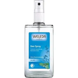 Weleda Koerperpflege DeodorantsZuverlässige & natürliche Wirkung ohne AluminiumsalzeHerbal Fresh Deo Spray 100 ml