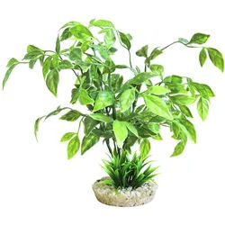 Sydeco Echinodorus Plant Aquariendekoration