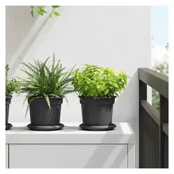 vidaXL Blumentopfuntersetzer, Runde Blumenplatte 24 pcs Schwarz Ø 14 x 2 cm Kunststoff schwarz