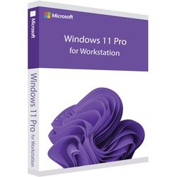 Microsoft Windows 11 Pro for Workstations