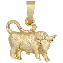 JOBO Sternzeichenanhänger Anhänger Sternzeichen, 925 Silber vergoldet matt goldfarben