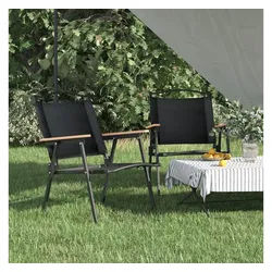 furnicato Campingstuhl Camping-Klappstuhl 54x55x78 cm Schwarz, robust und faltbar (2 St) schwarz 55 cm x 78 cm x 78 cm