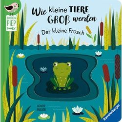 Wie kleine Tiere groß werden: Der kleine Frosch