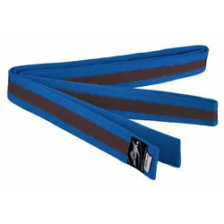 Ju-Sports Stoffgürtel Budo blau|braun 280 cm