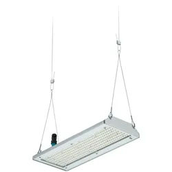 Philips Lighting LED-Hallenleuchte BY580P 170 59435700